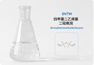 ��ϩ��˫��ͷDVTM